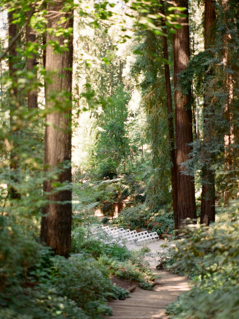 Ceremony seating on a path through the redwood grove at Nestldown