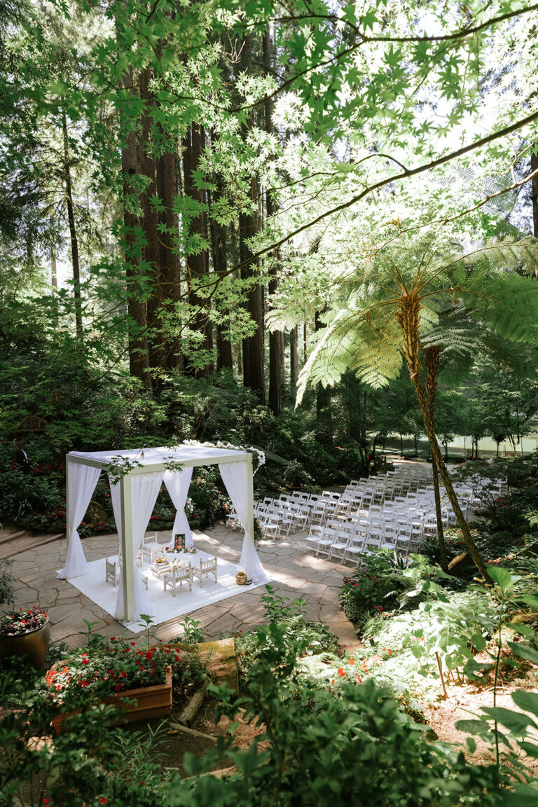 Ceremony arch and rows of chairs beneath towering redwoods at Nestldown
