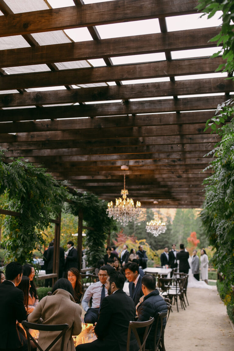 Guests at cocktail hour under the chandelier-lit pergola at Nestldown