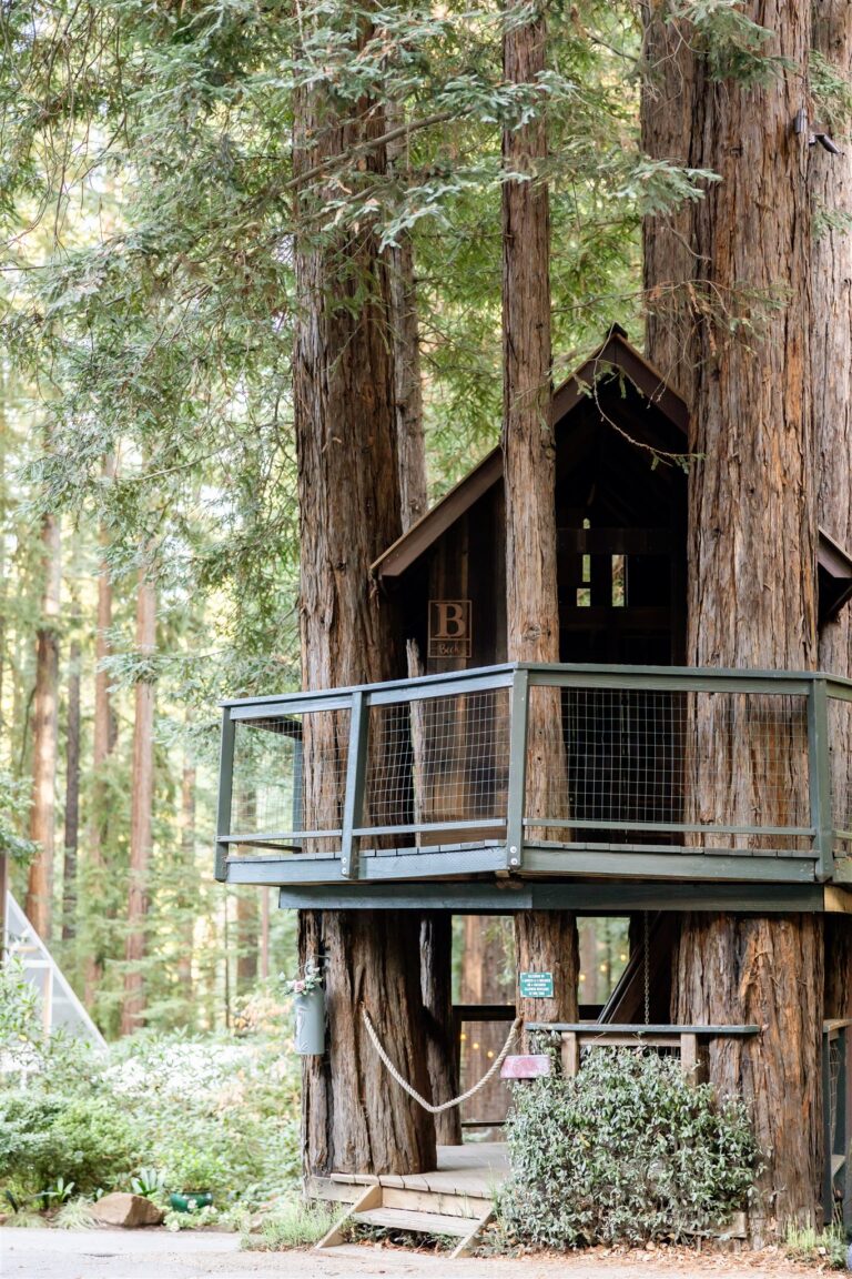 The treehouse set among the redwoods at Nestldown